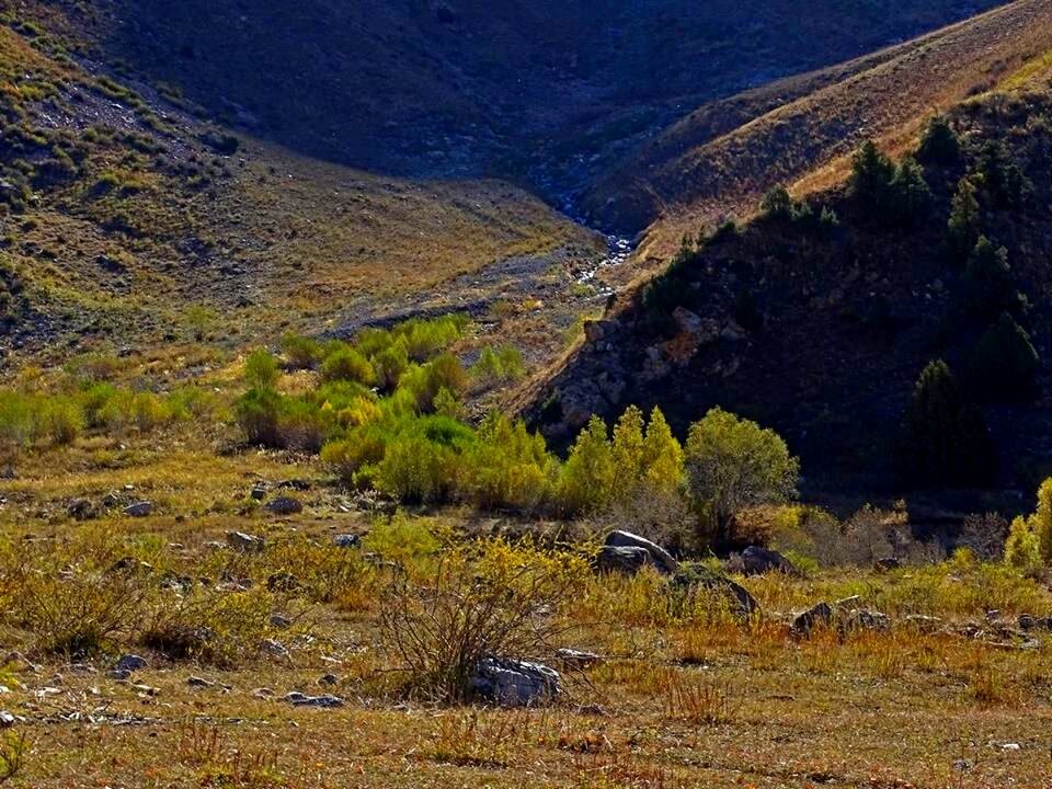 ПО ВЫСОКИМ ГОРАМ. - Виктор Осипчук