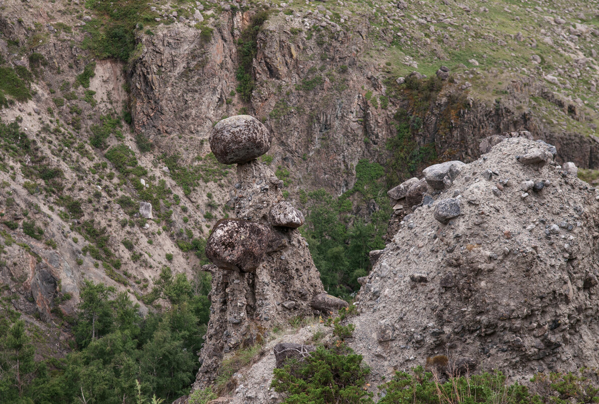 Каменные грибы - Юрий Никитенко