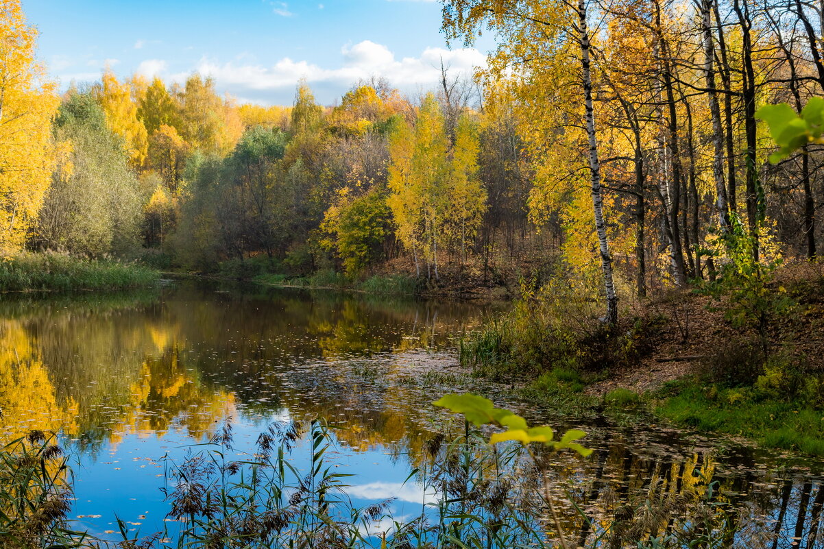 Прячется озеро в осенней тишине - Юрий Морозов