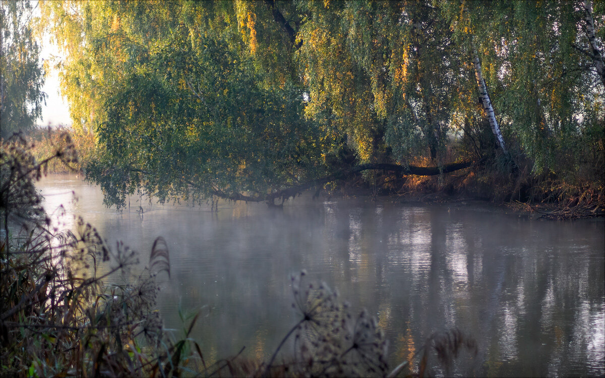 Утро на реке - Сергей Шабуневич