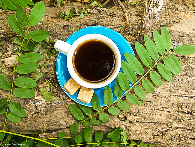Кофе со вкусом природы - Ксения смирнова