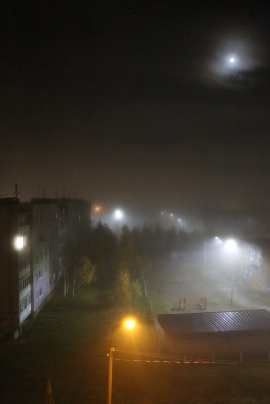 Туман в вечернем городе - Ольга 
