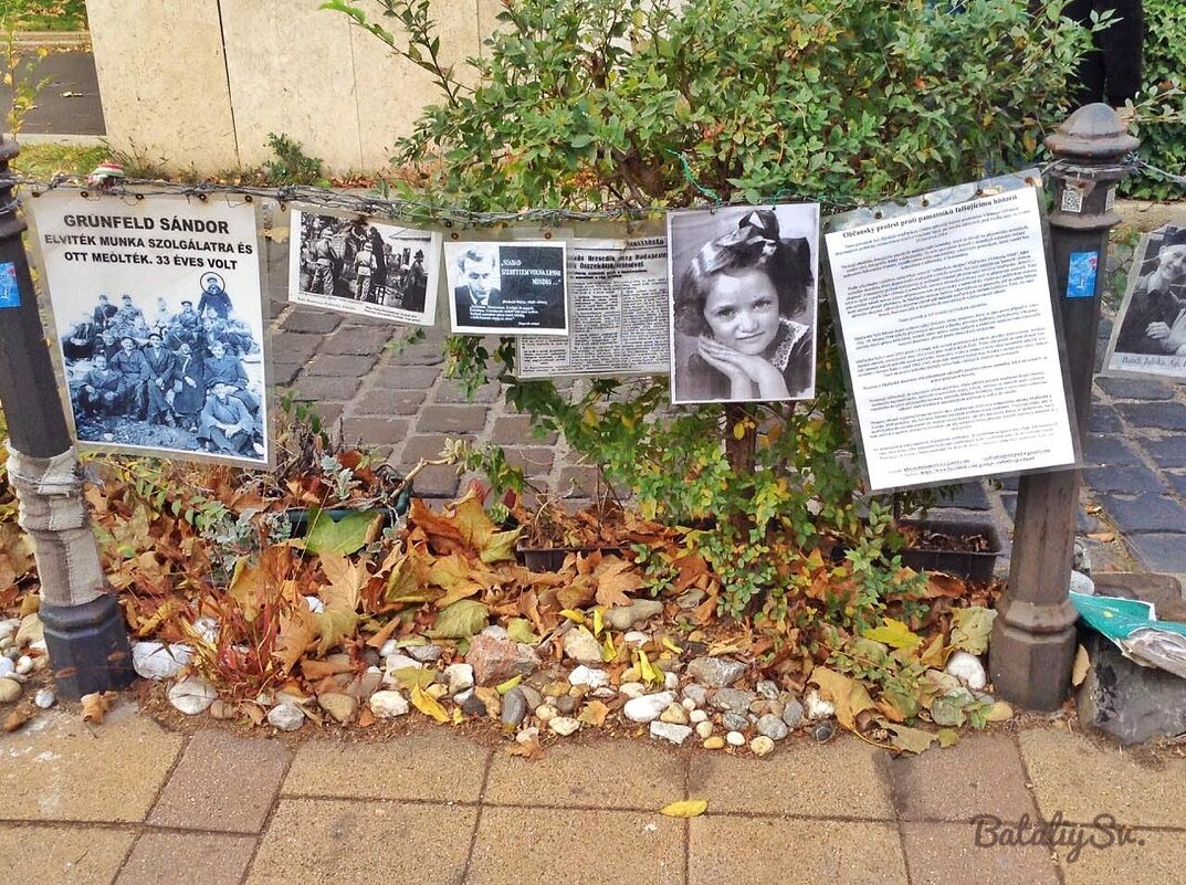 жертвам немецкой оккупации(площадь Свободы) - Светлана Баталий