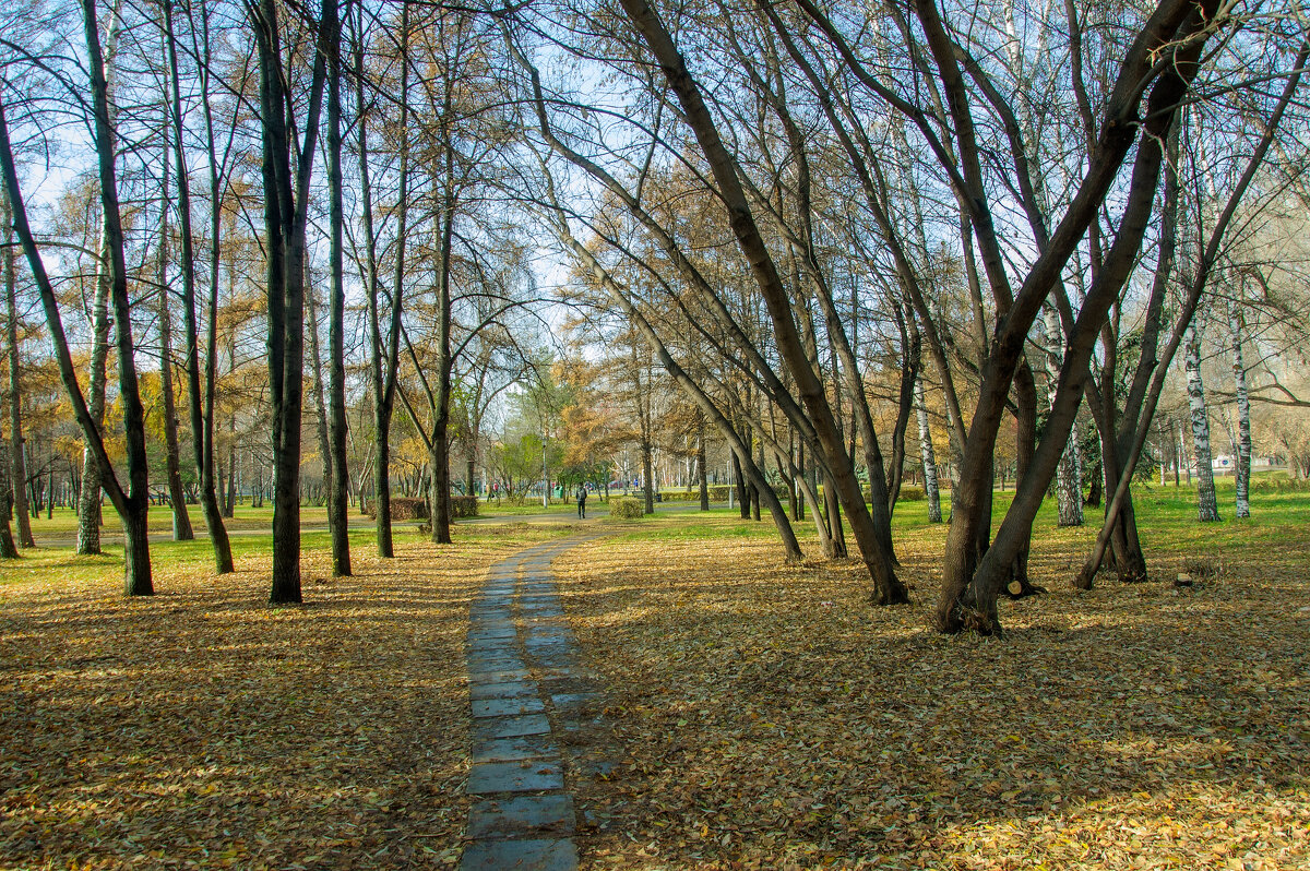 В парке - Михаил Соколов