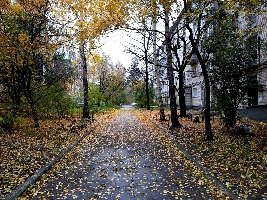 Городской двор осенью - Нина Колгатина 