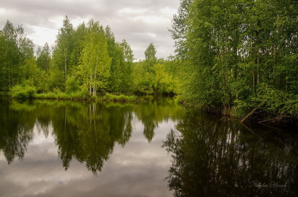 *** - Николай Гирш