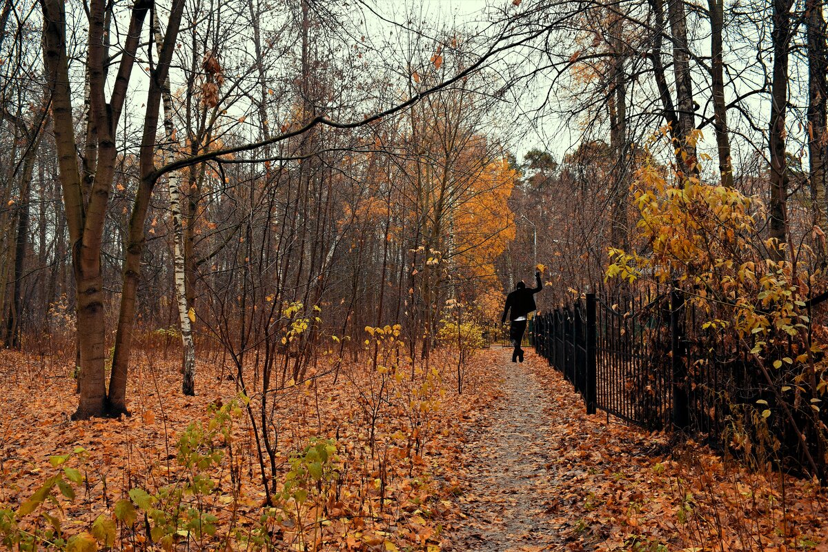 Октябрь уходит еле слышно, как шуршание листвы в октябре - Татьяна Помогалова