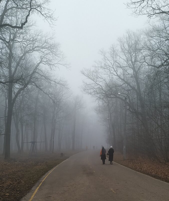 Туман - Олег Денисов