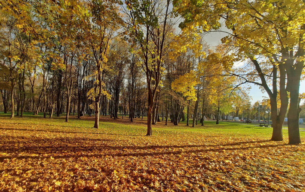 Осенний парк - Елена Кирьянова