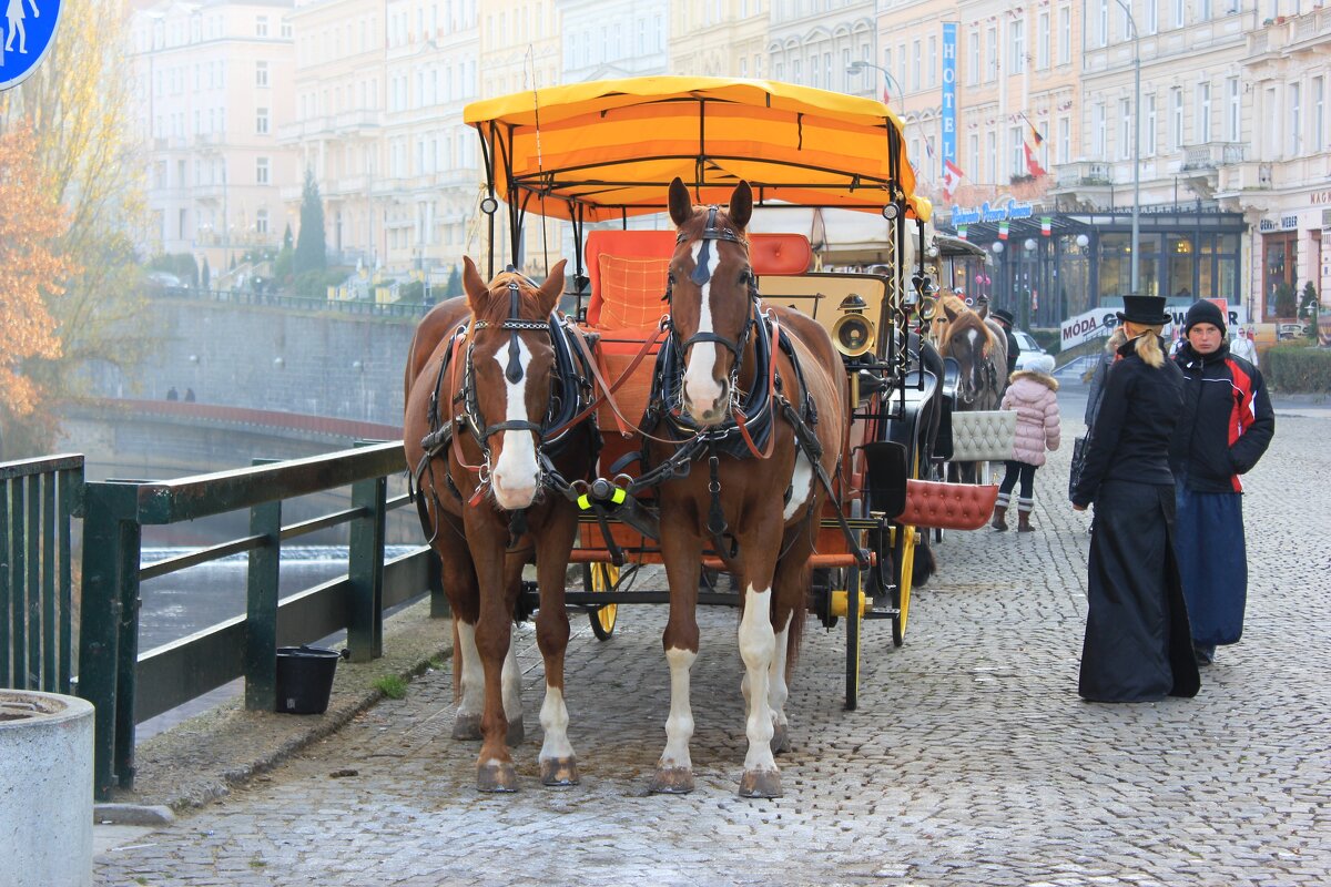 туристический транспорт - Светлана Ан
