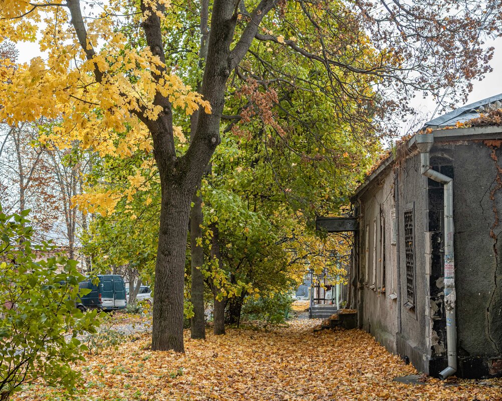 В переулке - Константин Бобинский