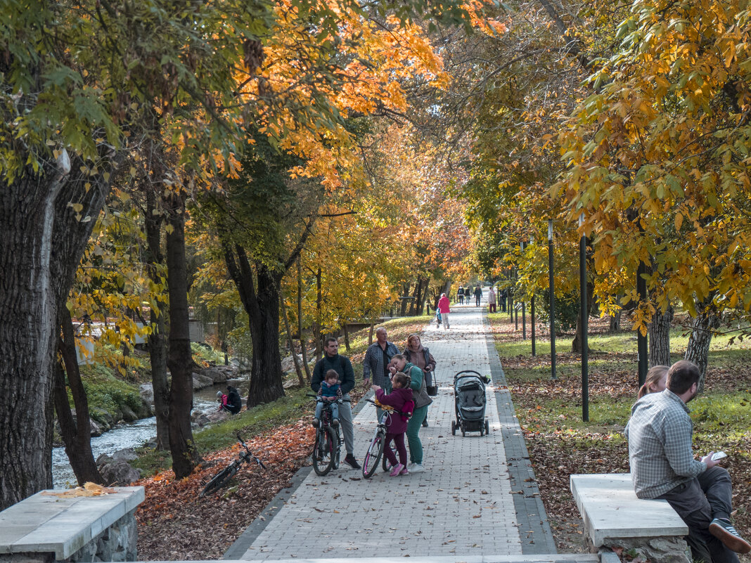Осень в  Гагаринском   парке - Валентин Семчишин