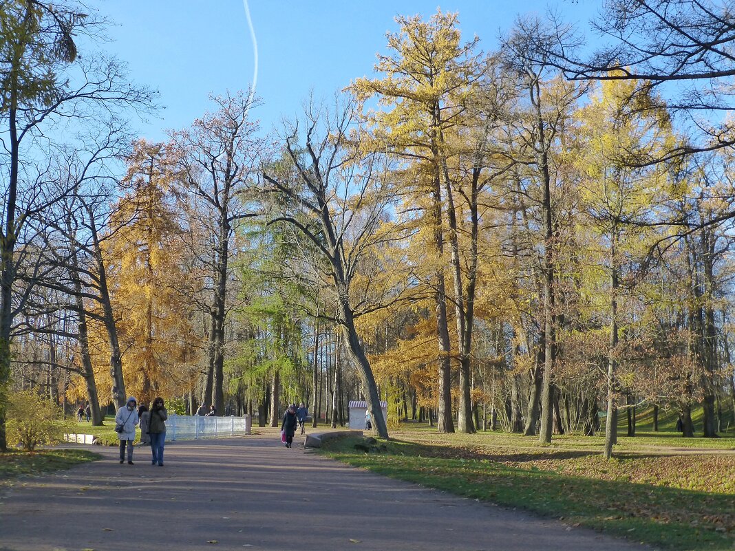 Прогулка в Александровском парке - Лидия Бусурина