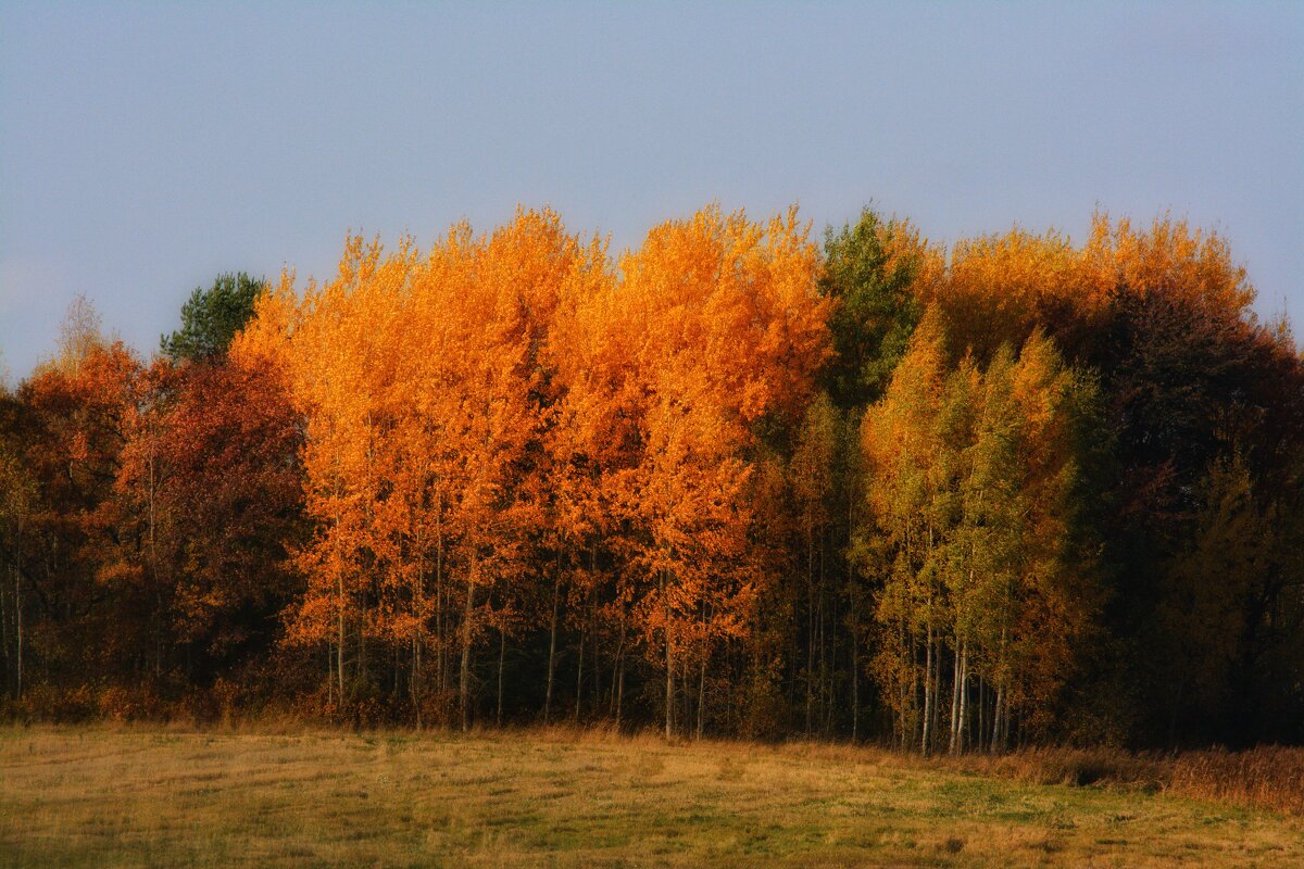 Autumn - Сергей Симаков