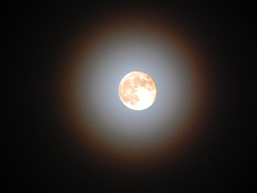 луна в тумане (09.11.2022 в 21:20) - Alisa Koteva 