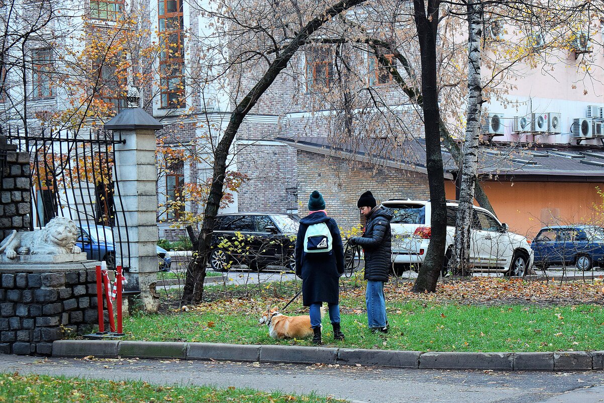 Повседневная жизнь во дворе Садового кольца. - Татьяна Помогалова