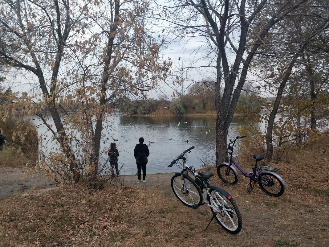 Осенний день,на велосипедах - Андрей Хлопонин
