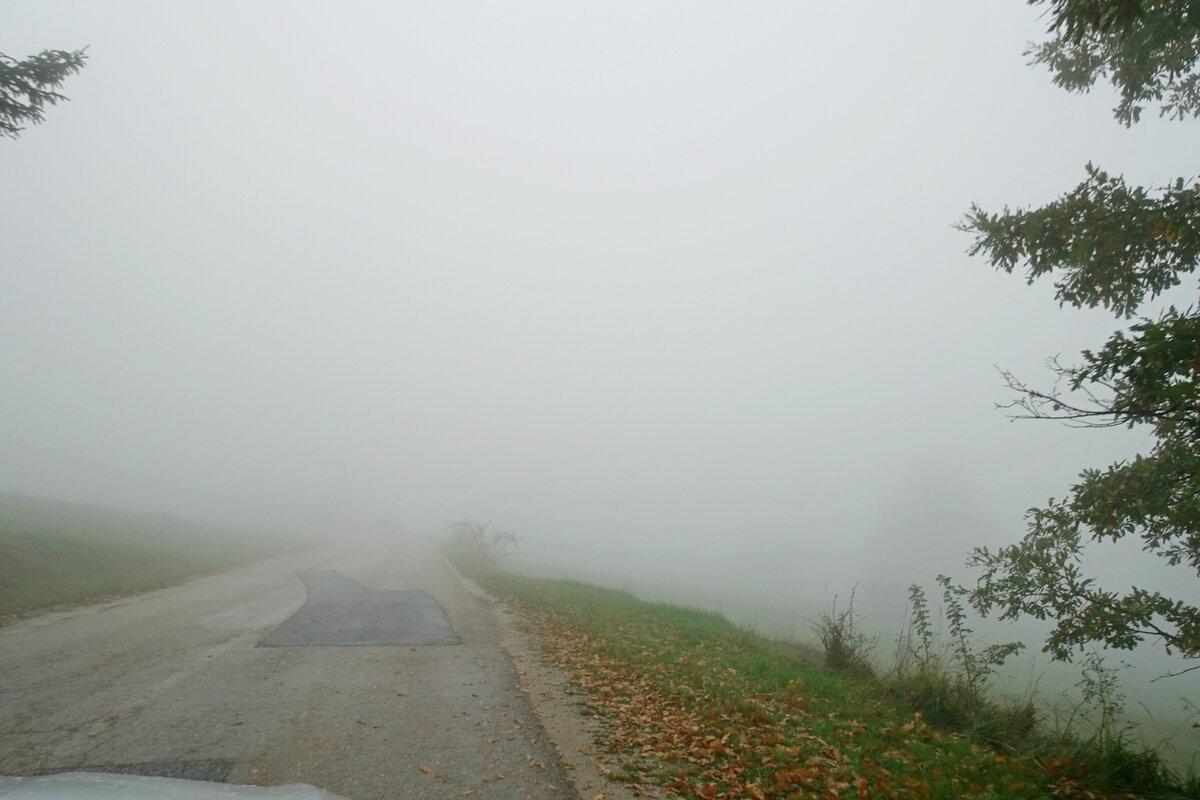 В туман - SergAL 