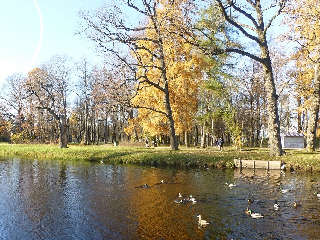Александровский парк в Царском Селе - Лидия Бусурина
