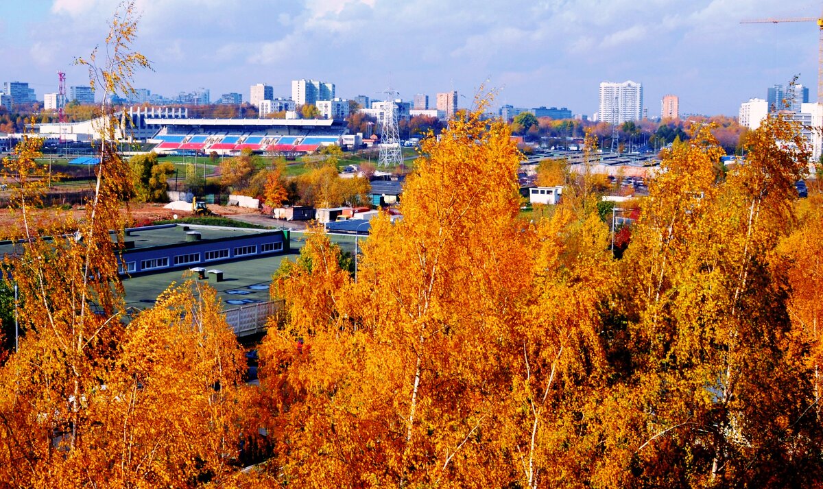 Осенний день в Битце, Москва - ГЕНРИХ 