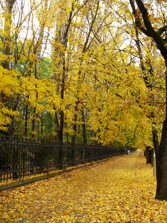 осень-осень - Всеволод 