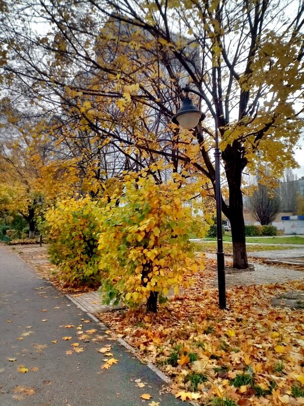 Осень в городе - Нина Колгатина 