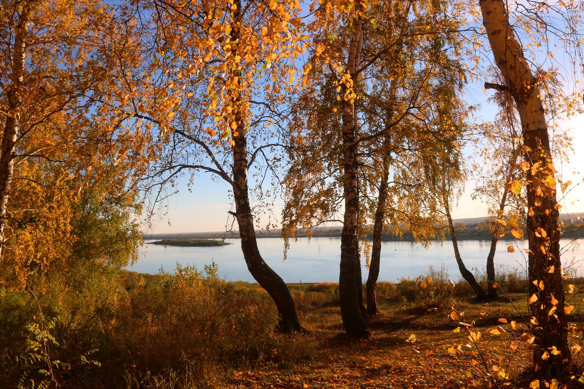 Осенью на реке - владимир тимошенко 