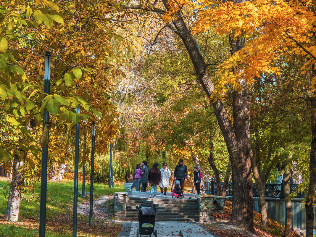 Осень золотая в  Гагаринском парке - Валентин Семчишин