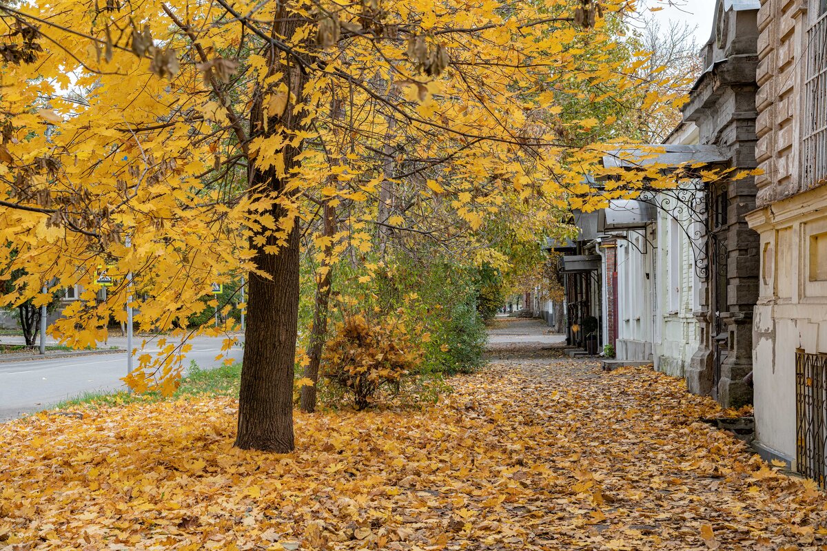 Вид на осенний тротуар в старой части города - Константин Бобинский