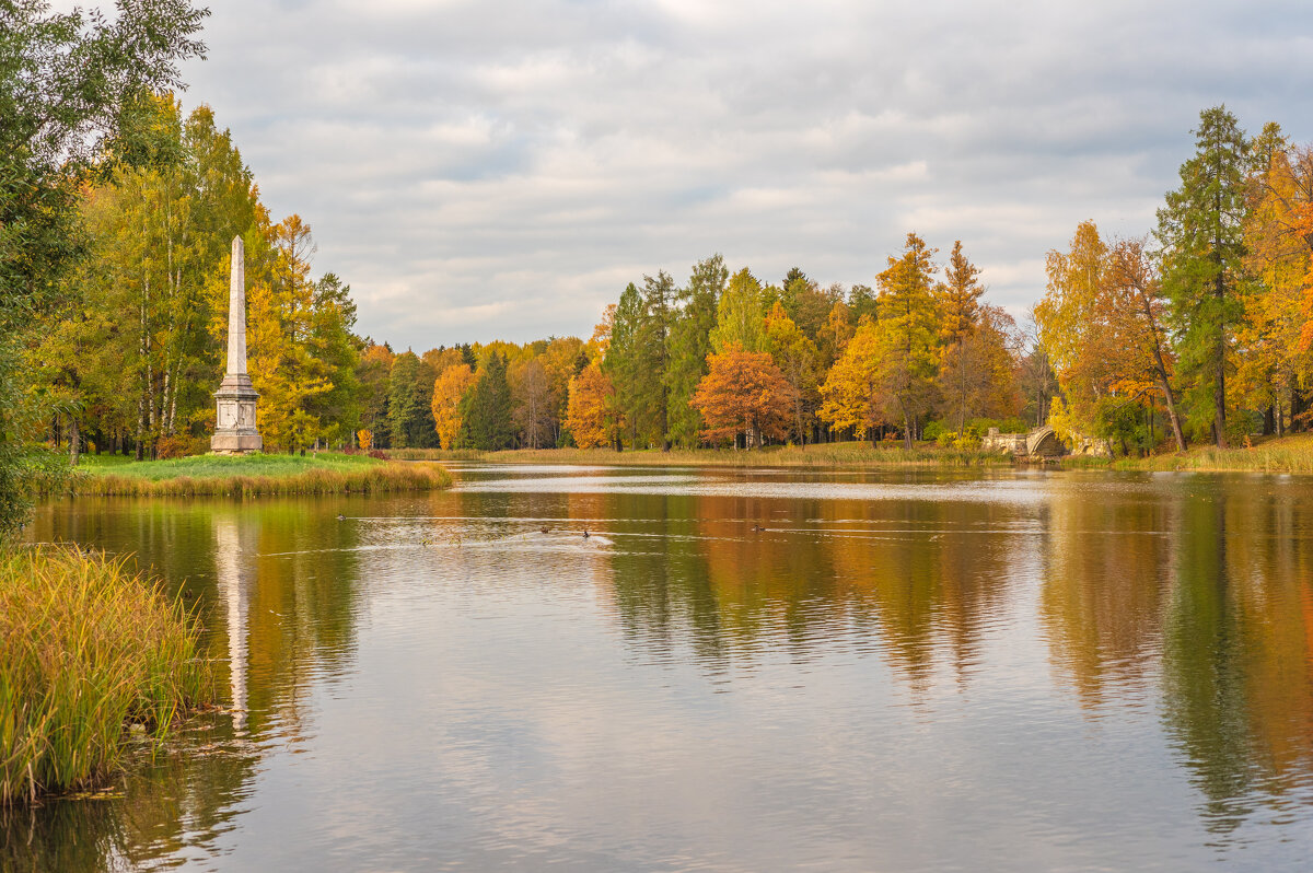 Осенний пейзаж Дворцового парка Гатчины - Дарья Меркулова