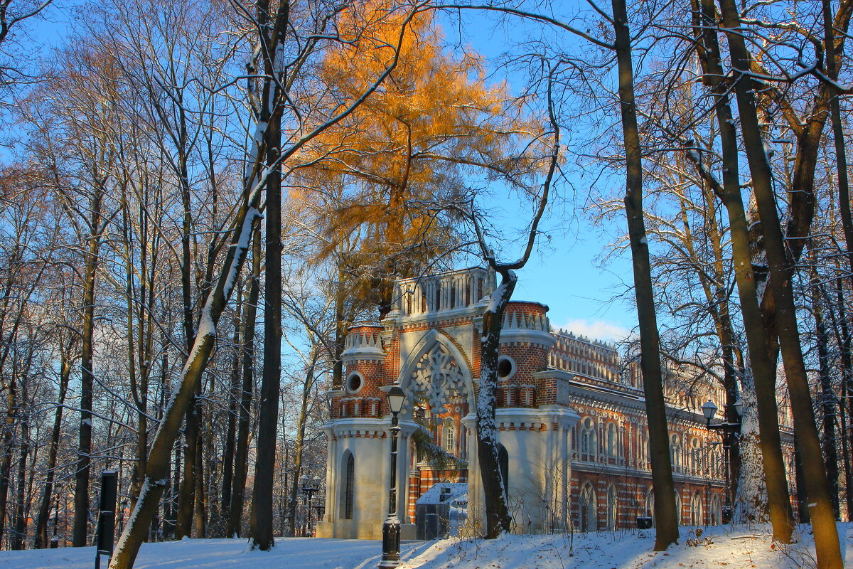 Виноградные ворота. - Александр Сергеевич 