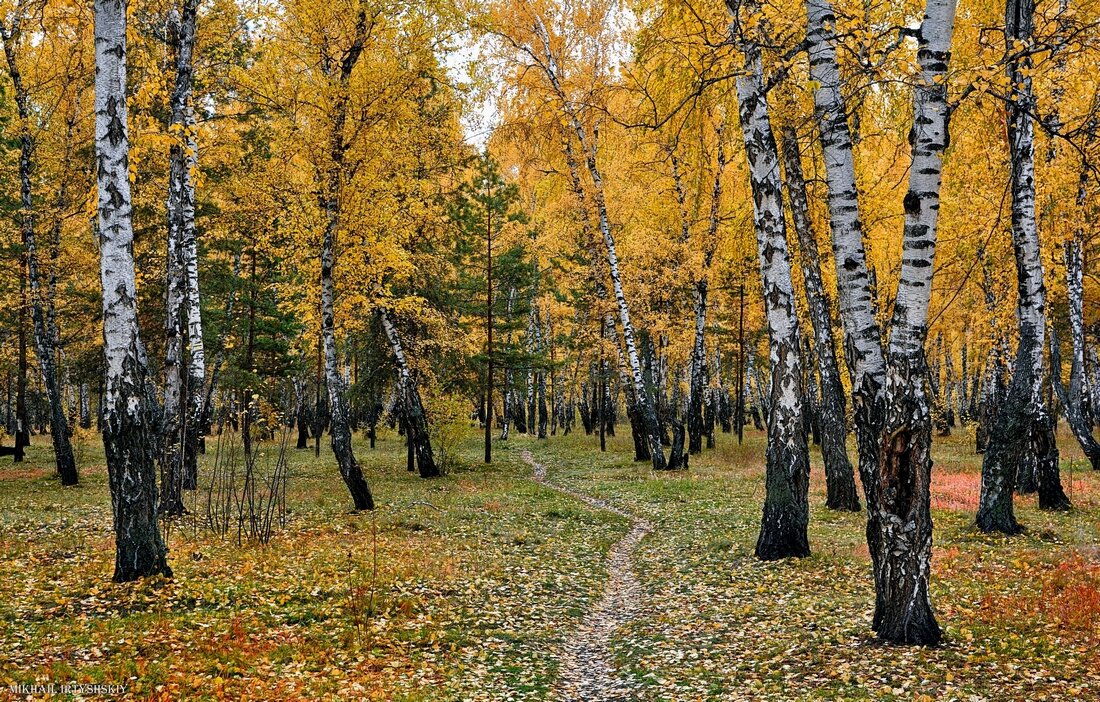 Осенними тропами - Mikhail Irtyshskiy