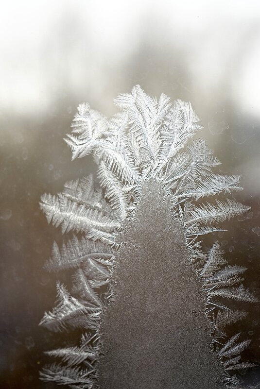 Пластиковое окно замерзло! - Екатерина Маринина