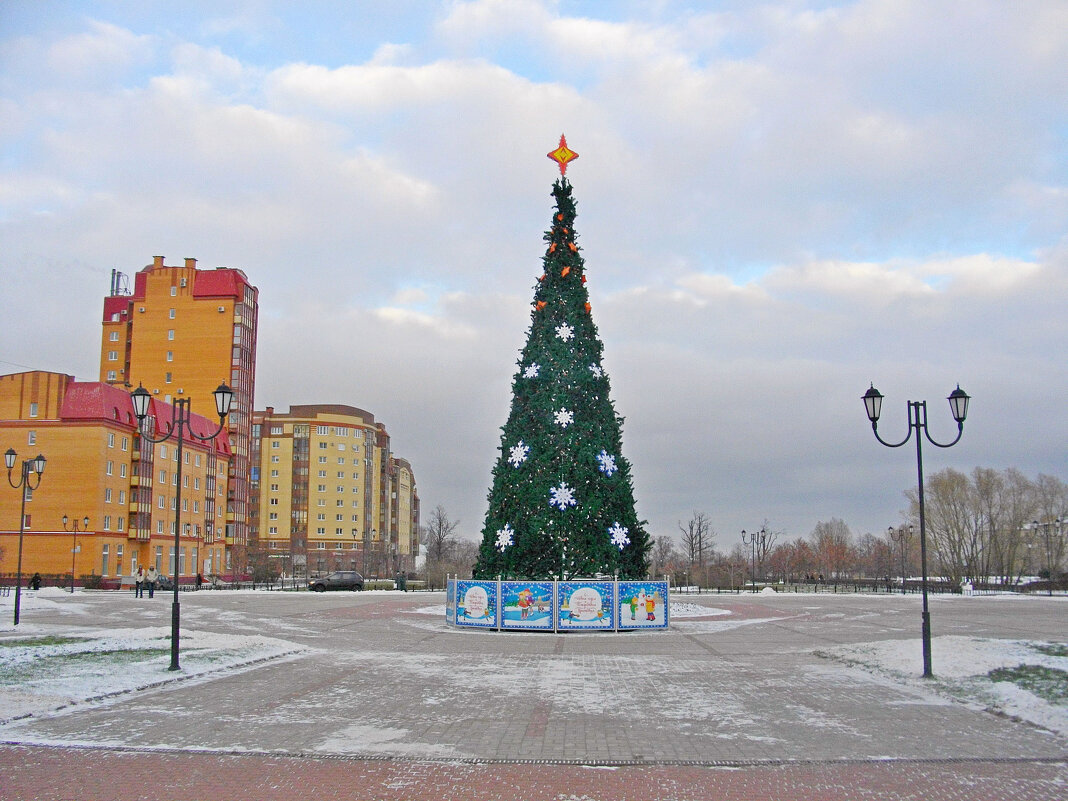 В преддверии Нового года. - Лия ☼