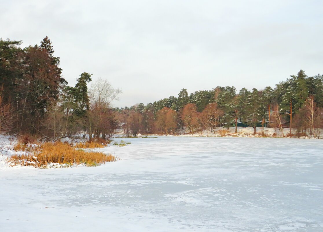 Замёрзшее озеро - Андрей Снегерёв