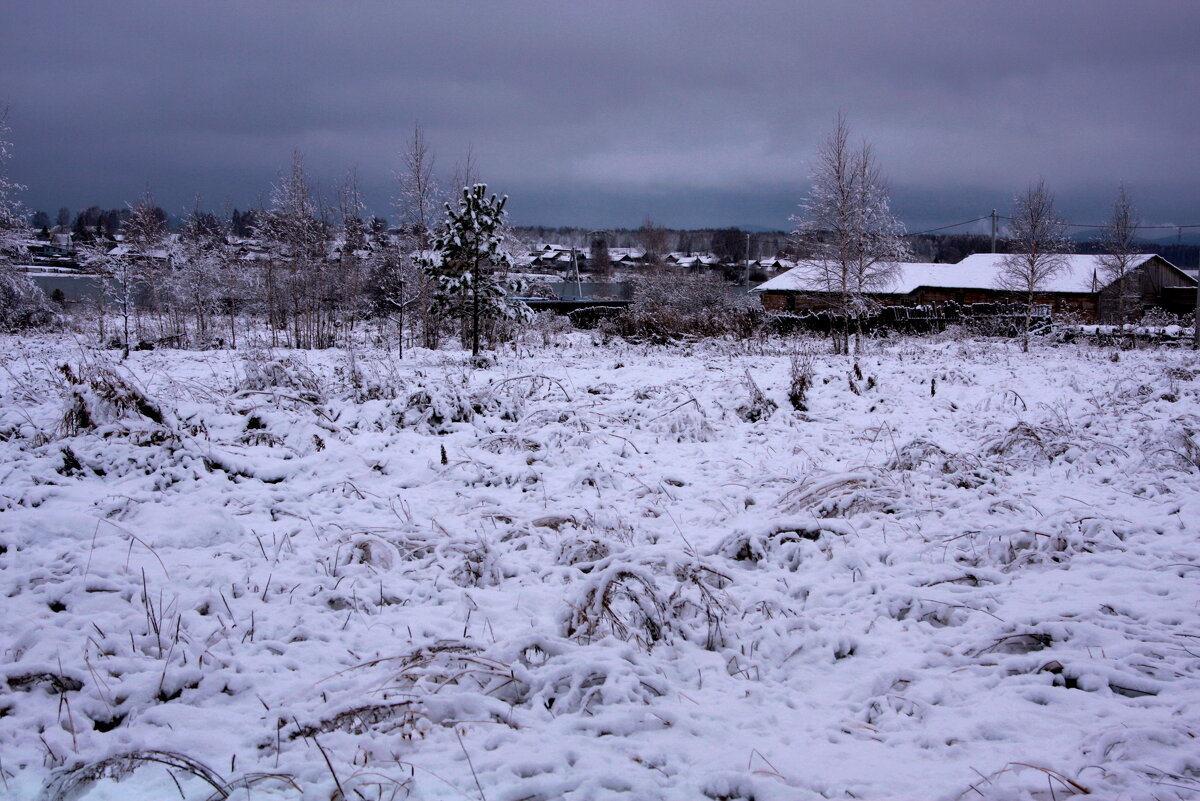 Снежный пейзаж - Нэля Лысенко