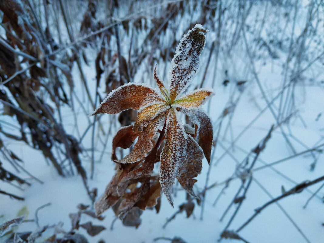 Примета зимы - Андрей Лукьянов
