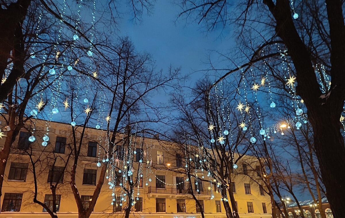 Про Петербург.Почти звездное небо. - Ирина 