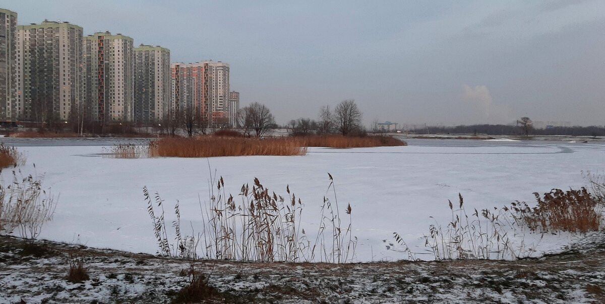 Первый день зимы - Наталья Герасимова