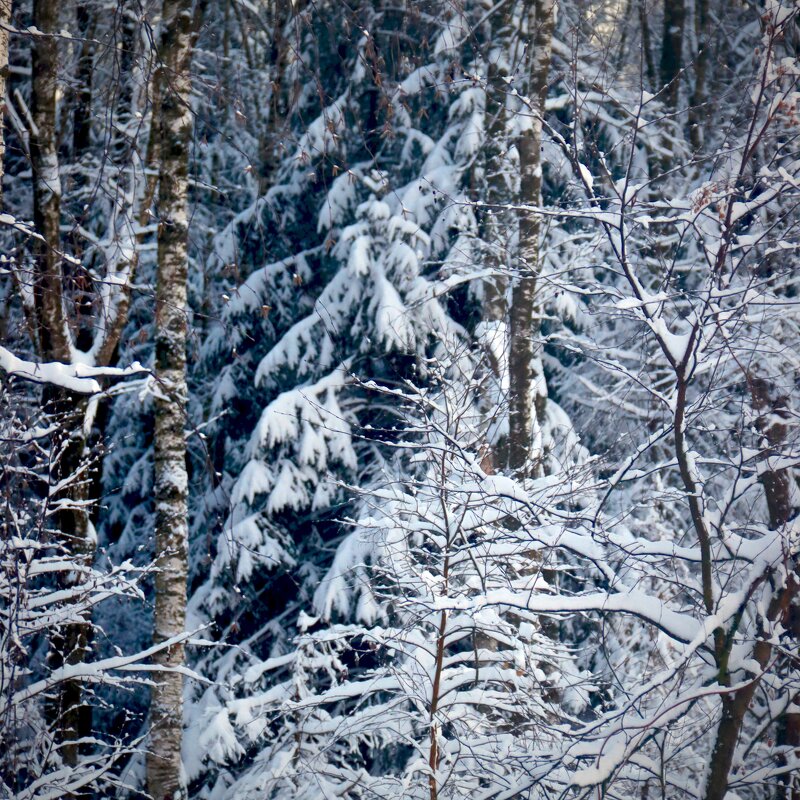 Сказка - Наташа Королева