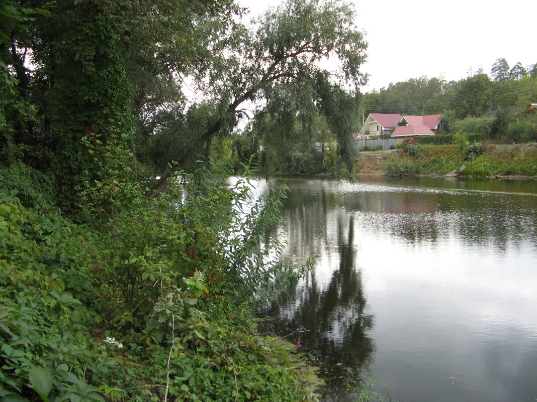 Речка "Чернушка" рядом с дачей - Нина Колгатина 