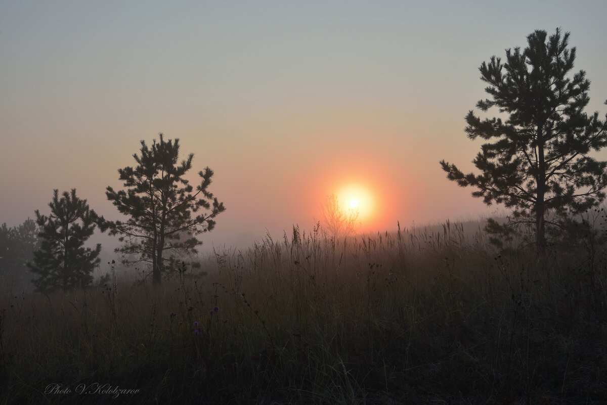 Солнце в тумане - Василий Колобзаров