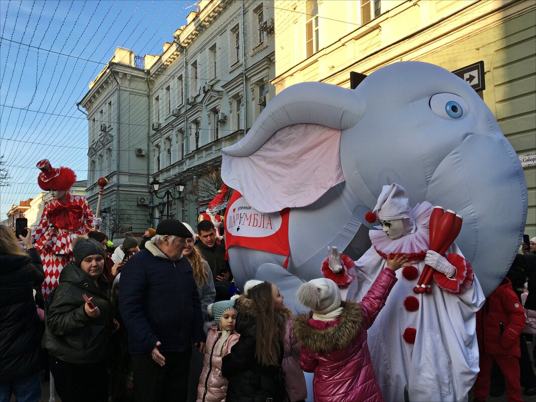 Слона по улице водили - Надежда 