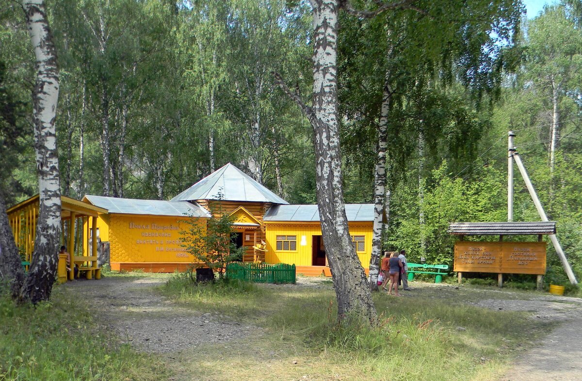 Музей мёда - Вера Щукина