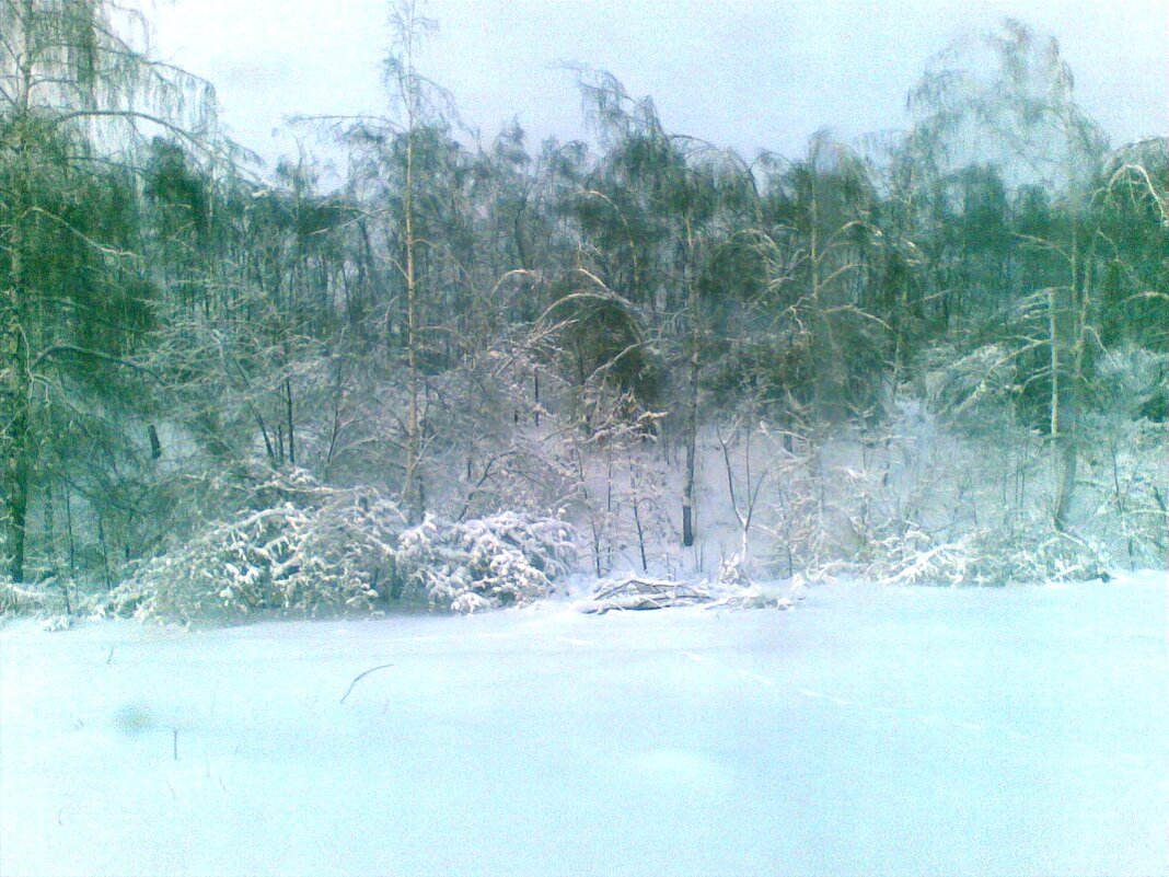 Последствие леденого дождя 2011-01 - Сергей Тимоновский