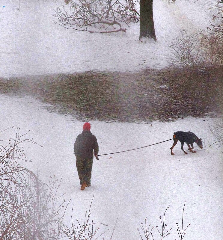 Вот, гулять с верным другом в какую погоду... - Юрий Куликов