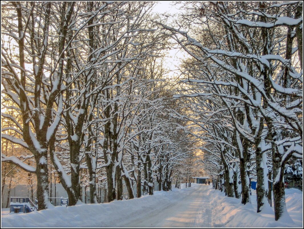 Зимняя дорога - Любовь Зинченко 