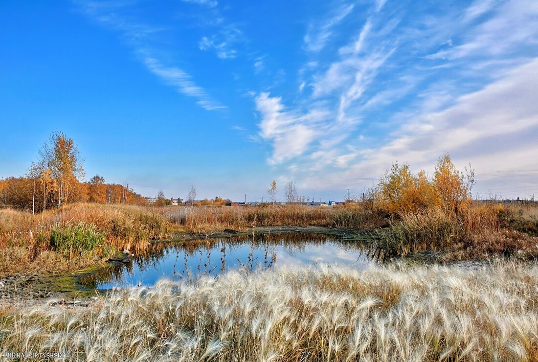 Осень, пруд, овёс и небо... - Mikhail Irtyshskiy
