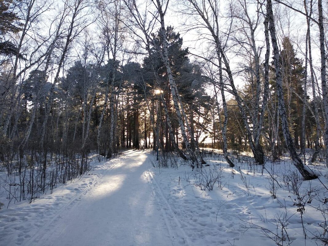 Зима в городе - Нина Колгатина 