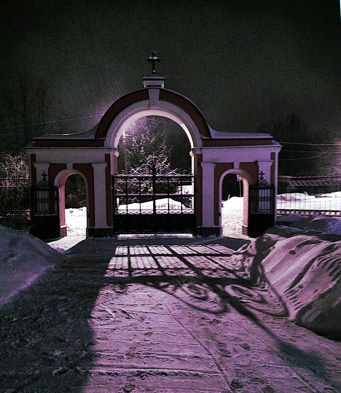 Ворота храма - Александр Селин
